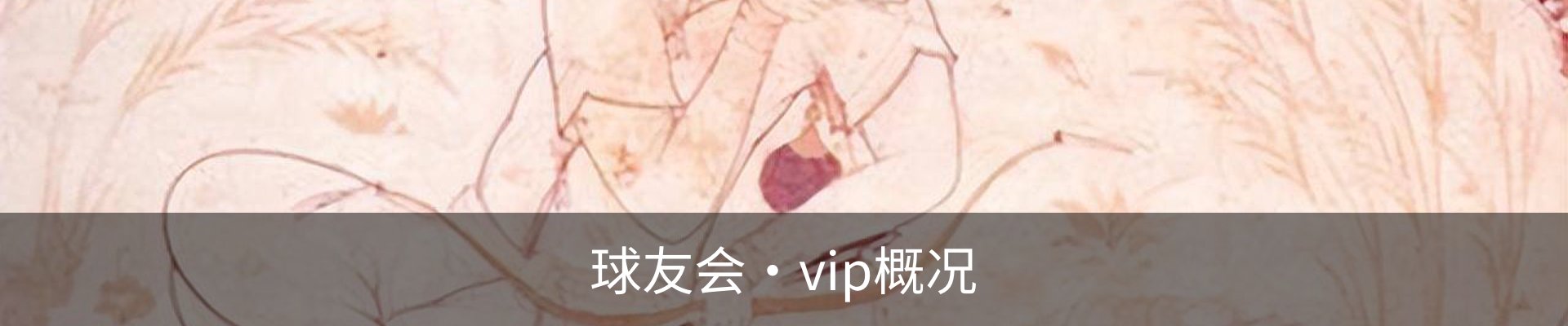 球友会·vip概况